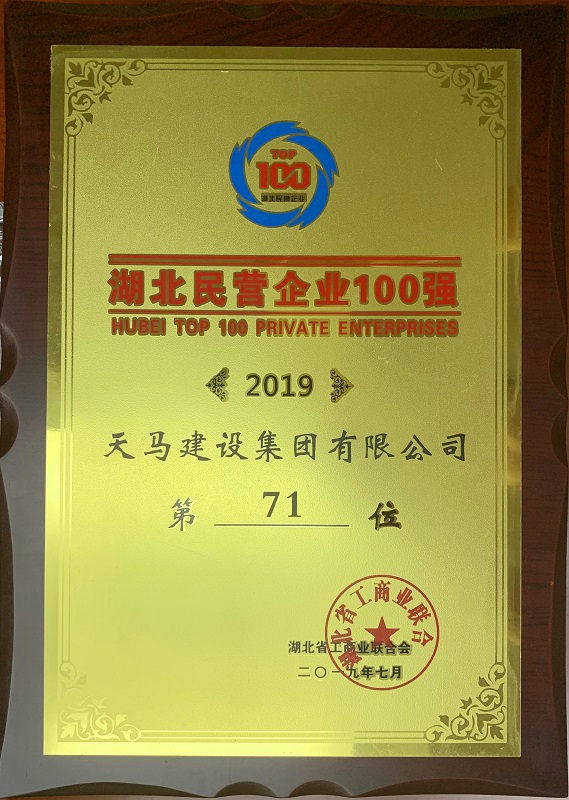 2019年湖北民营企业100强