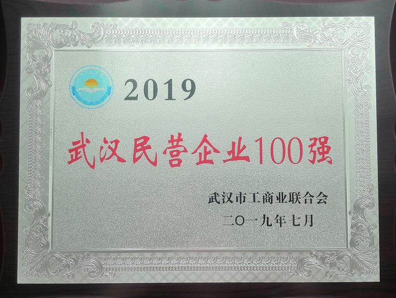 2019年武汉民营企业100强