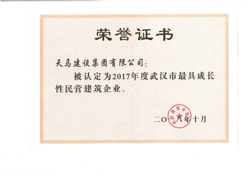 2017年度武汉市最具成长性民营企业（奖状）