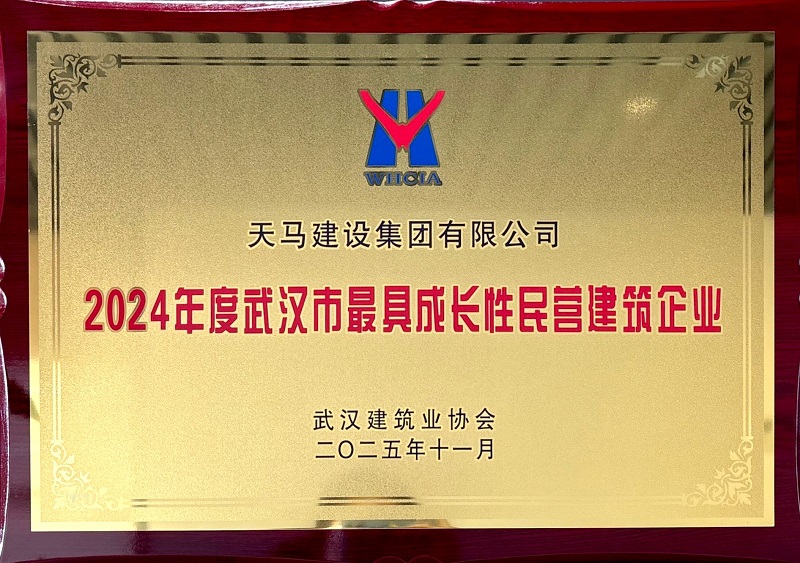 2024年武汉市最具成长性民营建筑企业