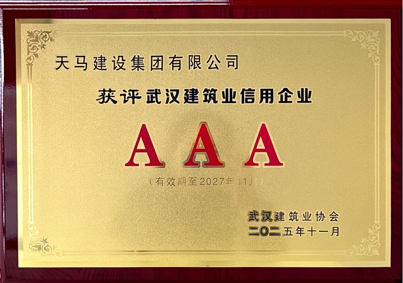 2025年武汉建筑业信用AAA企业